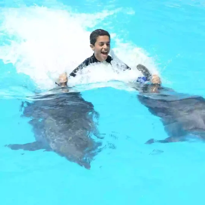 Punta Cana Dolphin Tour