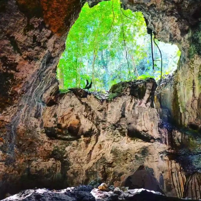 Cave in Los Haitises