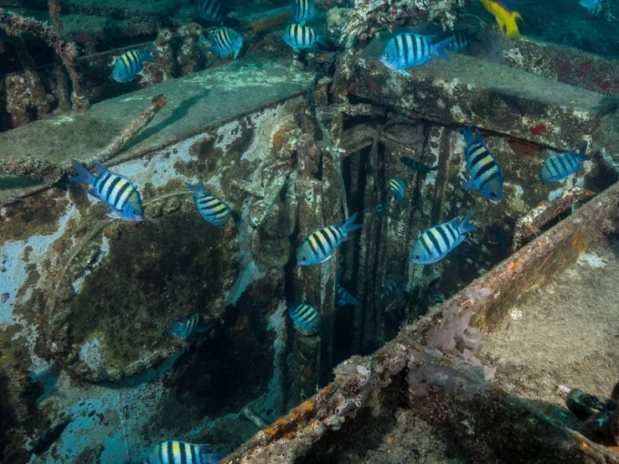 Saona Island Scuba Diving